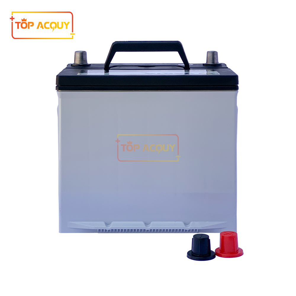 ac-quy-o-to-varta-80d23l